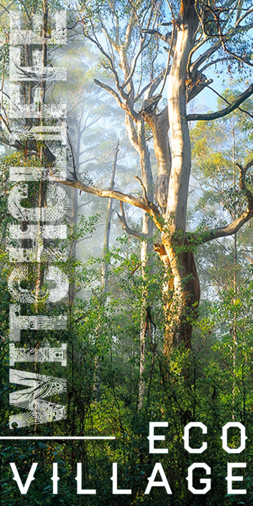 Witchcliffe Ecovillage