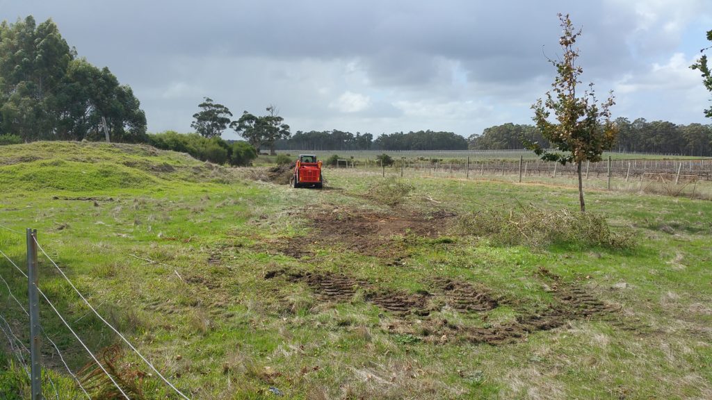 Witchcliffe Ecovillage
