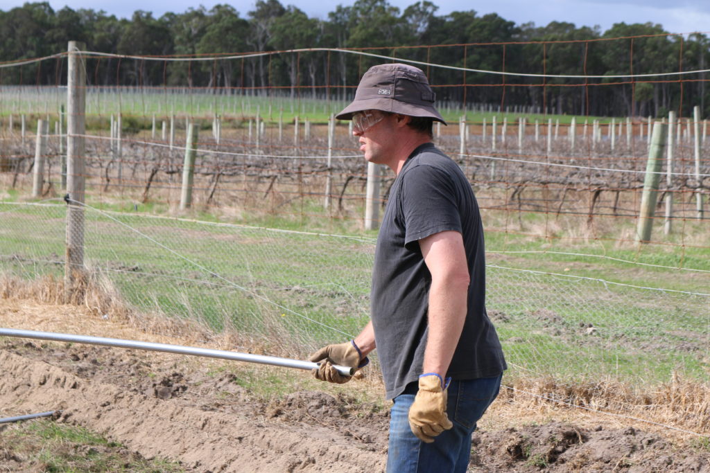 Witchcliffe Ecovillage
