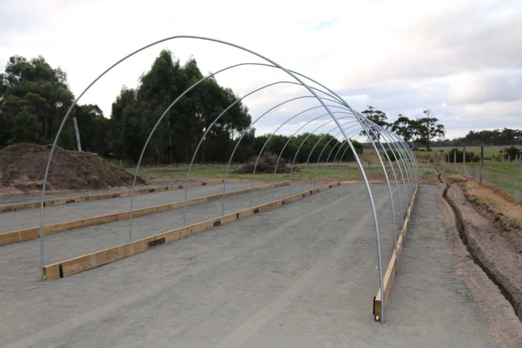 Witchcliffe Ecovillage