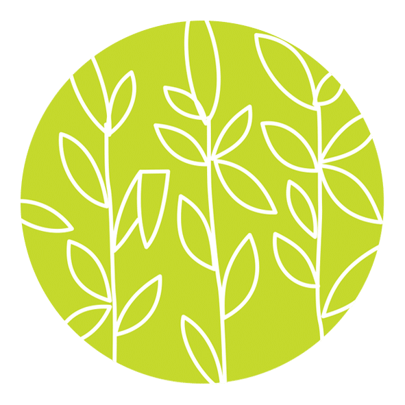 Witchcliffe Ecovillage