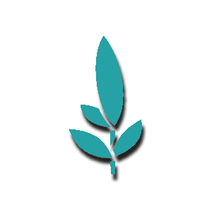 Witchcliffe Ecovillage