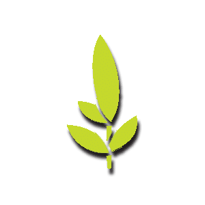 Witchcliffe Ecovillage