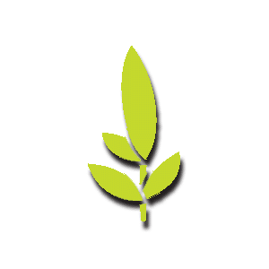 Witchcliffe Ecovillage