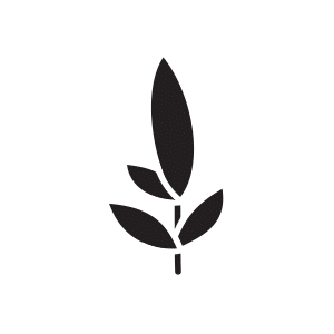 Witchcliffe Ecovillage