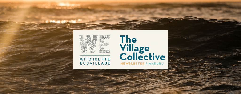 Witchcliffe Ecovillage