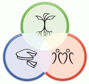 David Holmgren's Permaculture ethics diagram