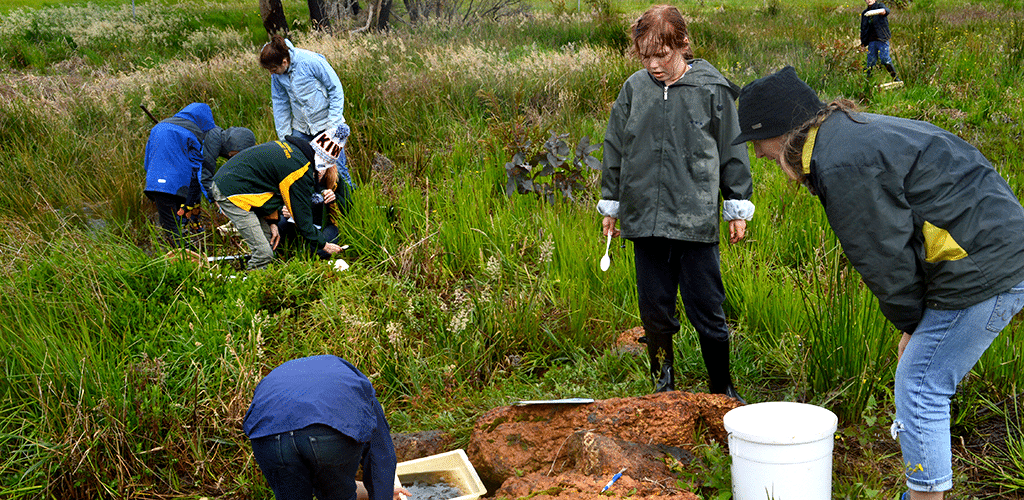Witchcliffe Ecovillage