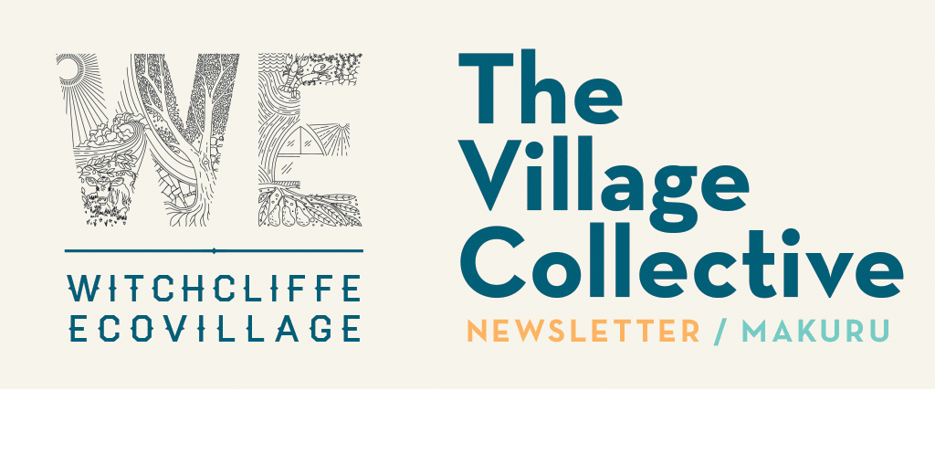 Newsletter 11 Newsletter 11