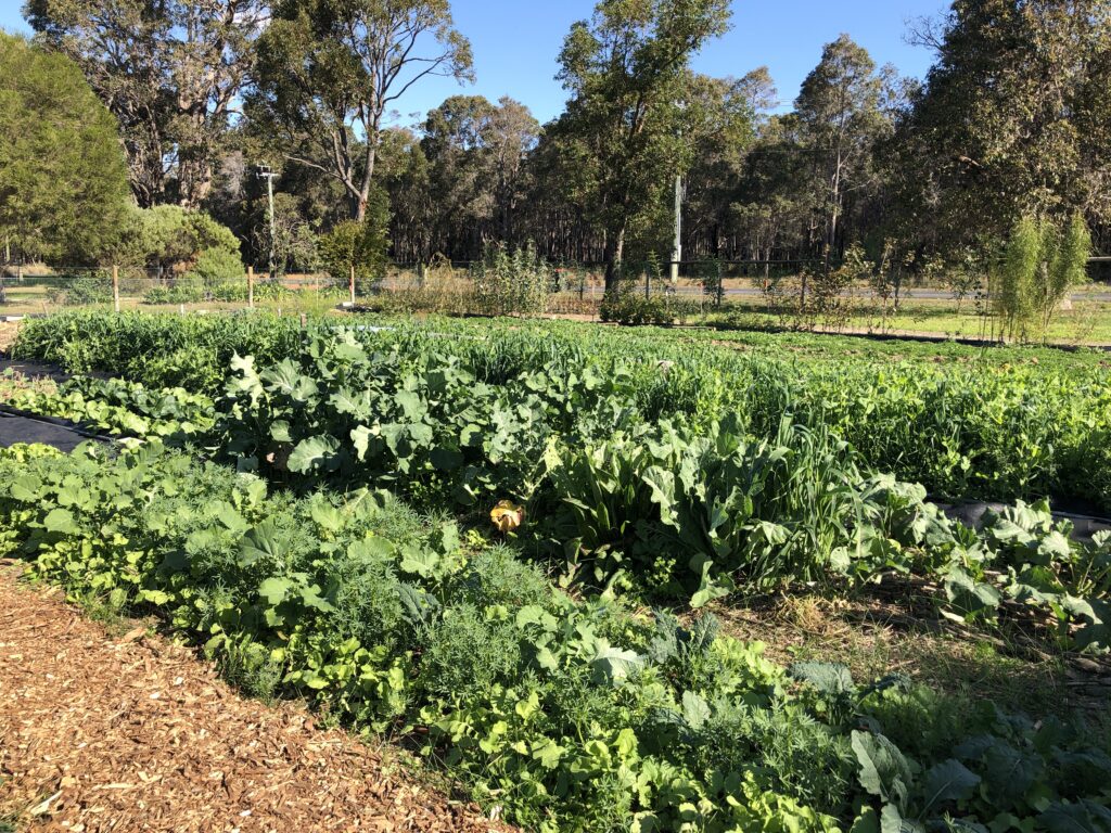 Witchcliffe Ecovillage