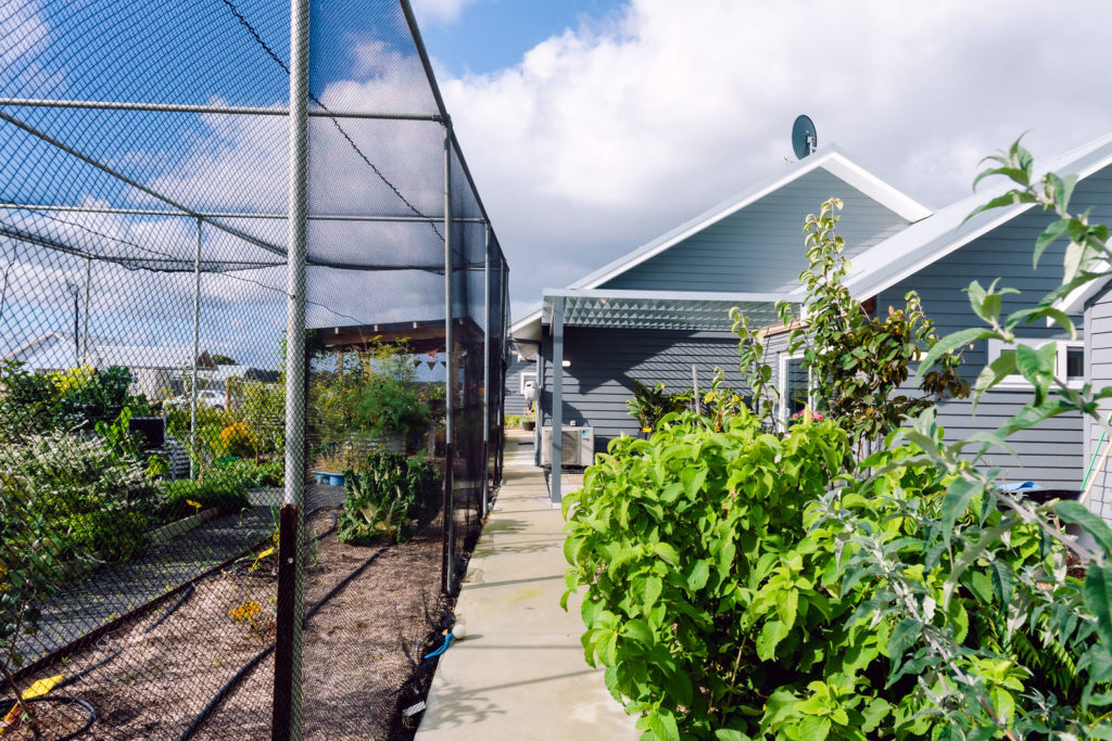 Permaculture Paradise For Sale - UNDER CONTRACT 34