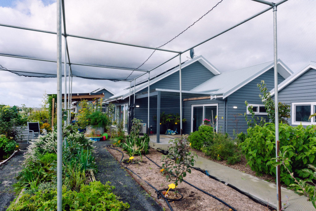 Permaculture Paradise For Sale - UNDER CONTRACT 36