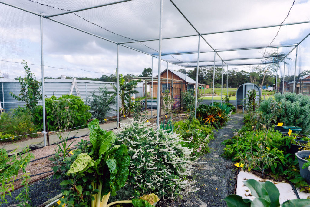 Permaculture Paradise For Sale - UNDER CONTRACT 37