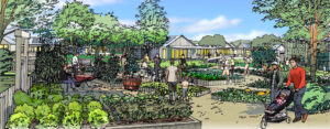 Community garden sketch cropped